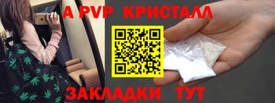 стаф Кинель