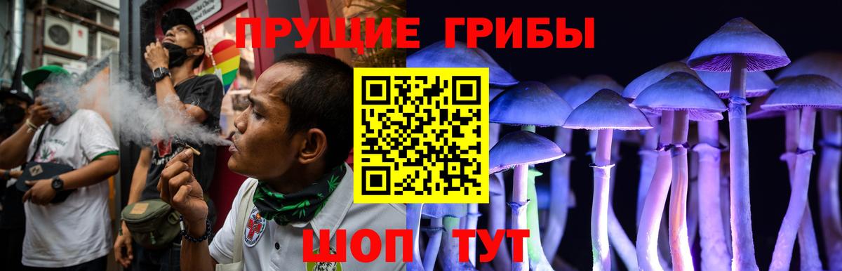Галлюциногенные грибы Magic Shrooms  Вход с VPN  Аргун  Псилоцибиновые грибы ЛСД 