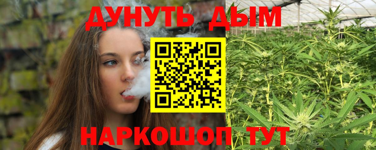 Бошки Шишки план  МАРИХУАНА AK-47  Вход с VPN  Аргун  Конопля конопля  Канабис семена 